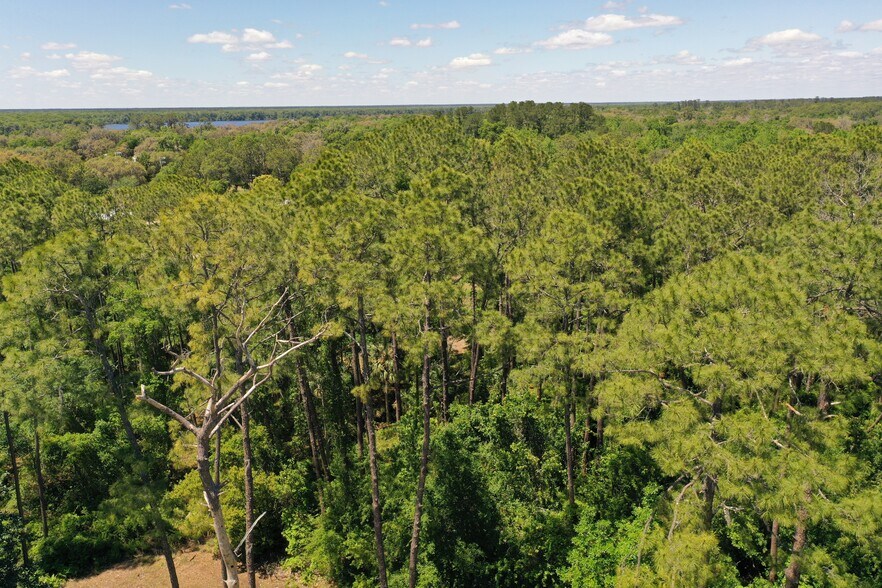 More Photos Of 638 Walnut St, Welaka Land For Sale