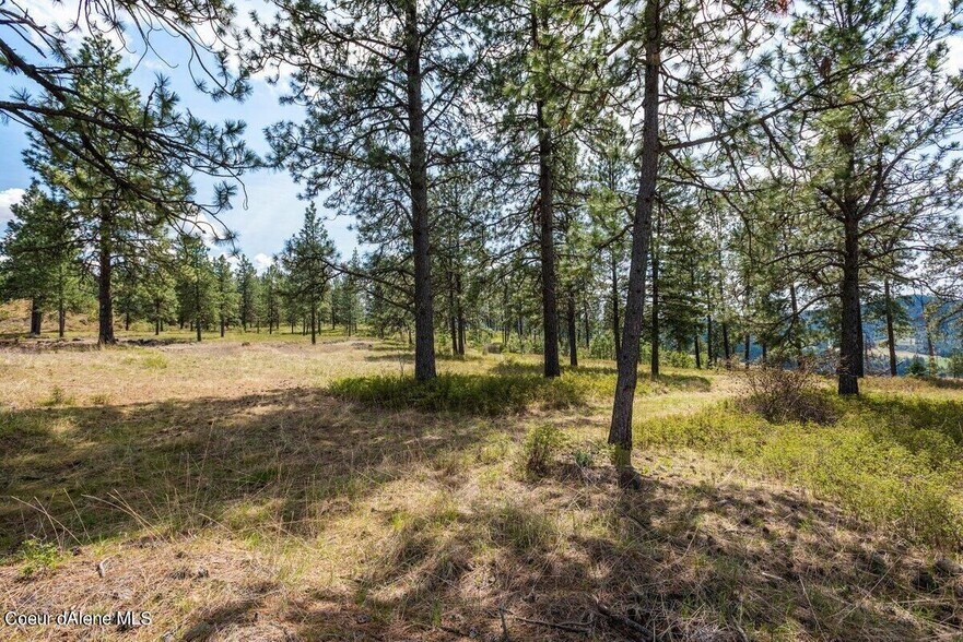 More Photos Of Stonegate at Harrison, Harrison Land For Sale