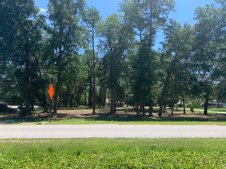 More Photos Of 3888 Palmetto St, Middleburg Land For Sale