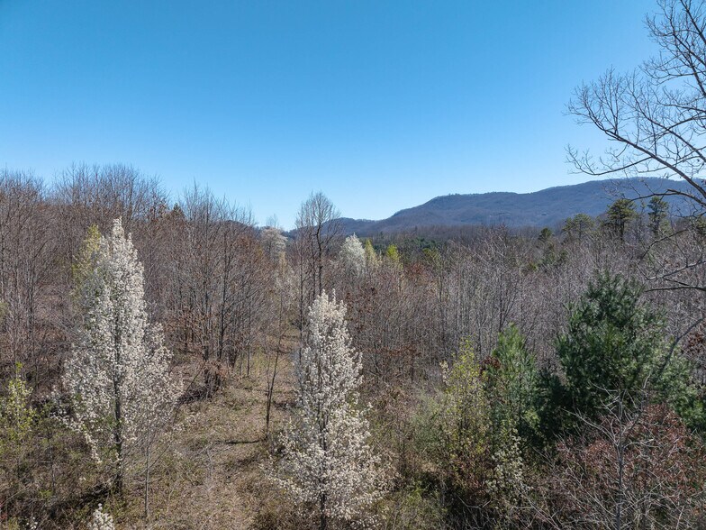 More Photos Of 00 Woodland Dr, Waynesville Land For Sale