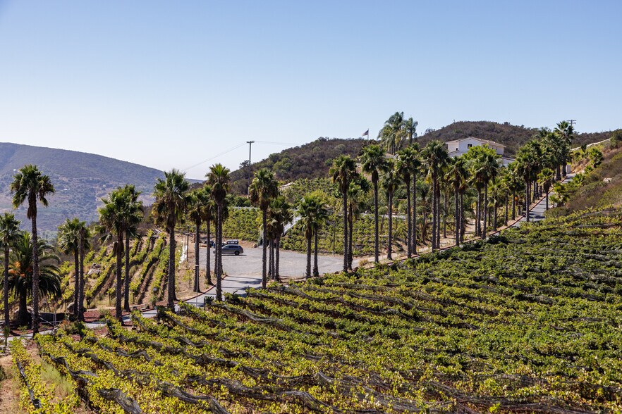 More Photos Of 2286 Sunshine Mountain Rd, San Marcos Winery Vineyard For Sale