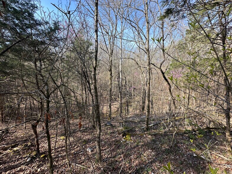 More Photos Of 7312 Highway 60, Georgetown Land For Sale