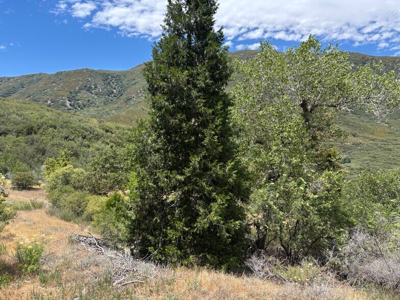 More Photos Of 1676 Sugarpine Springs Rd, Hesperia Land For Sale