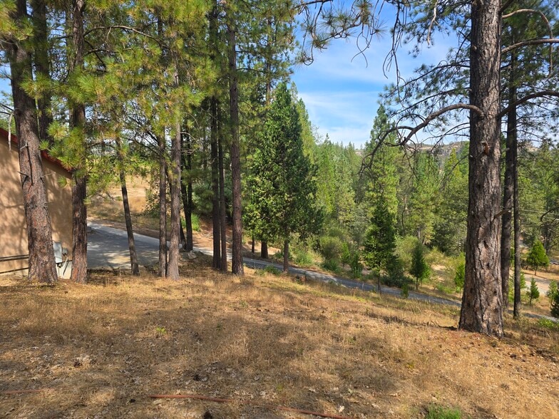 More Photos Of 4282 Pleasant Valley Rd, Placerville Specialty For Sale