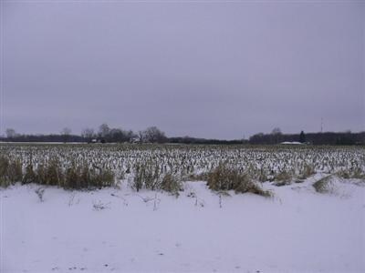 Primary Photo Of M-62, Cassopolis Land For Sale