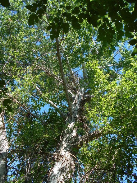 More Photos Of 143 E Walker Rd, Camp Verde Specialty For Sale