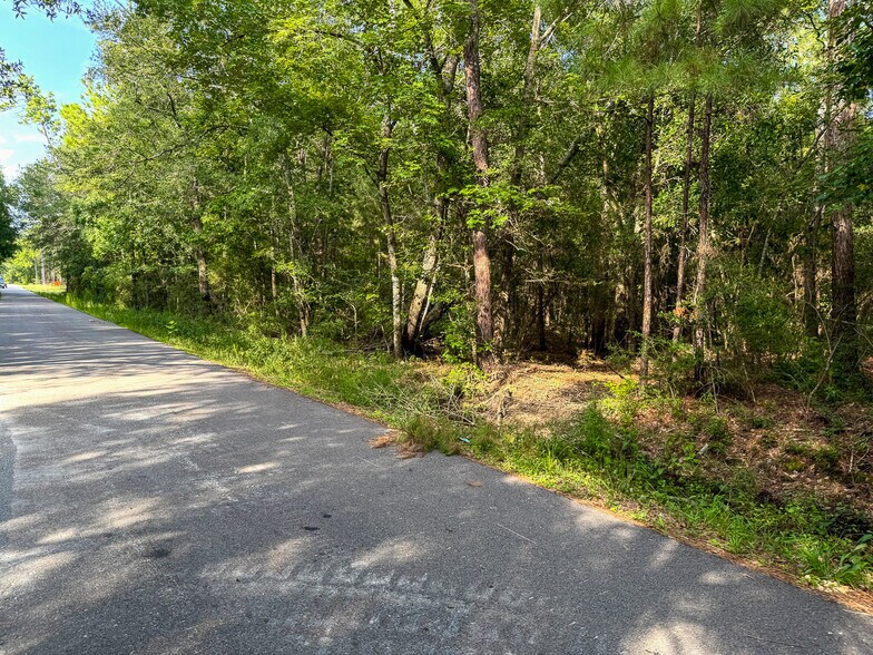 More Photos Of 3.39 Acres, FM 787, Saratoga Land For Sale