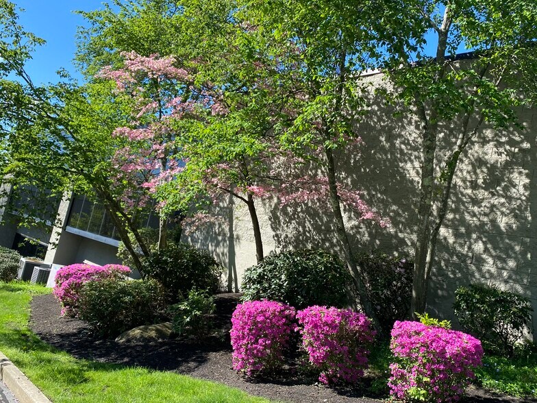 More Photos Of 13 Branch St, Methuen Medical For Lease