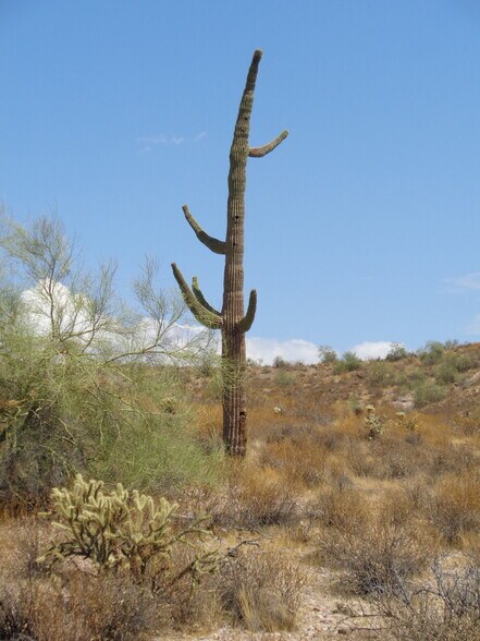 More Photos Of Lot 14-C Lot 14-C Sandy Bluff Trail, Fort Mcdowell Land For Sale