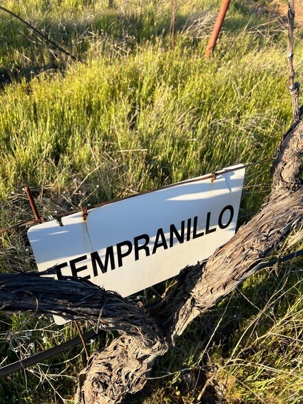 More Photos Of 7590 CA-29 Hwy, Kelseyville Land For Sale