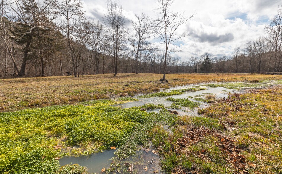 More Photos Of 3385 County Road 5615, Bunker Land For Sale