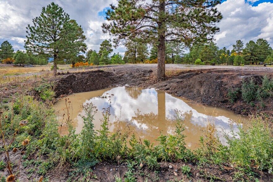More Photos Of 555 Bastille Drive, Pagosa Springs Land For Sale