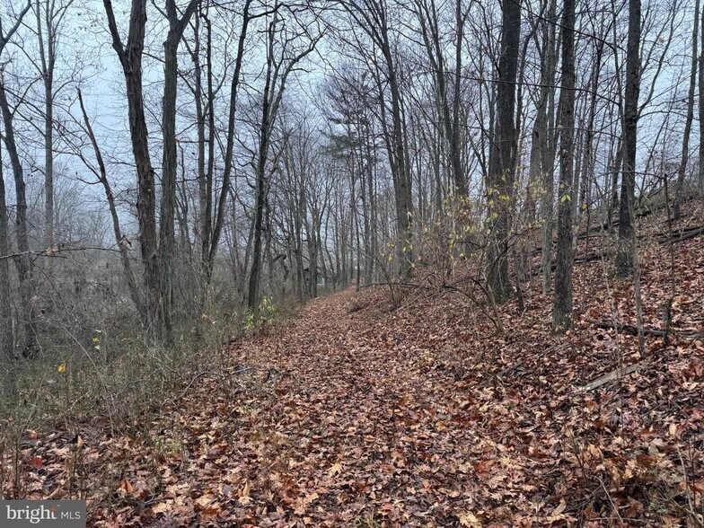 More Photos Of 3014 Peach Orchard Rd, Mc Connellsburg Land For Sale