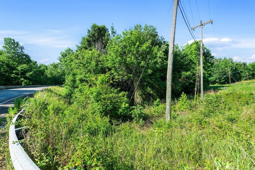 More Photos Of 0 Pinetree, East Spencer Land For Sale