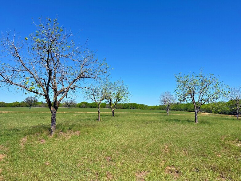 More Photos Of 3265 TX-97, Jourdanton Land For Sale