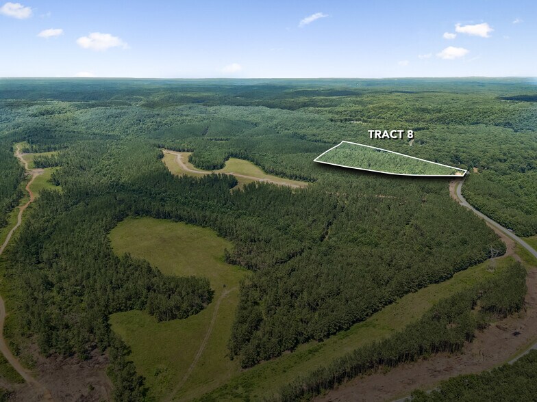More Photos Of 1420 Big Swan Creek Rd, Summertown Land For Sale
