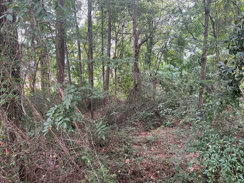 More Photos Of 168 Petersville Ln, Brunswick Land For Sale