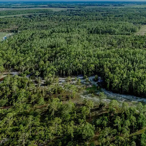 More Photos Of 17800 Grand Chenier Rd, Fort Myers Land For Sale