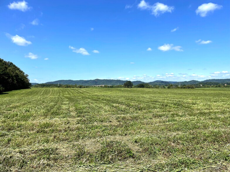 More Photos Of Flatwoods Road, Mosheim Land For Sale