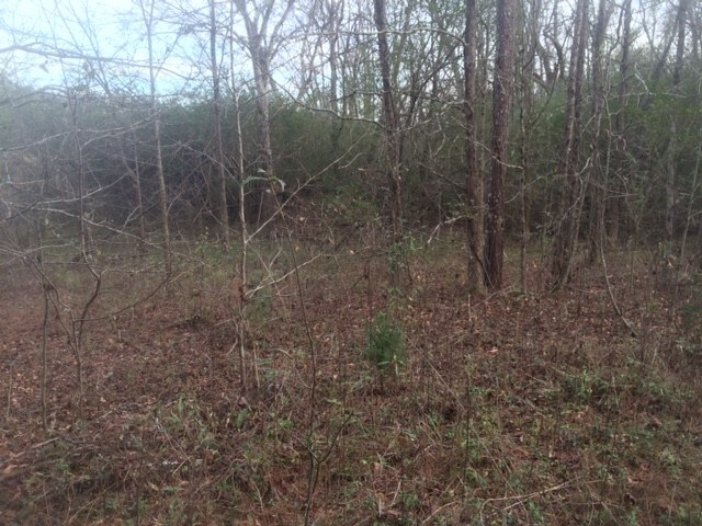 More Photos Of 5791 Atlanta Hwy, Rutledge Land For Sale