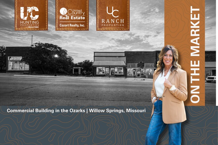 Primary Photo Of 113 E Main St, Willow Springs Storefront For Sale