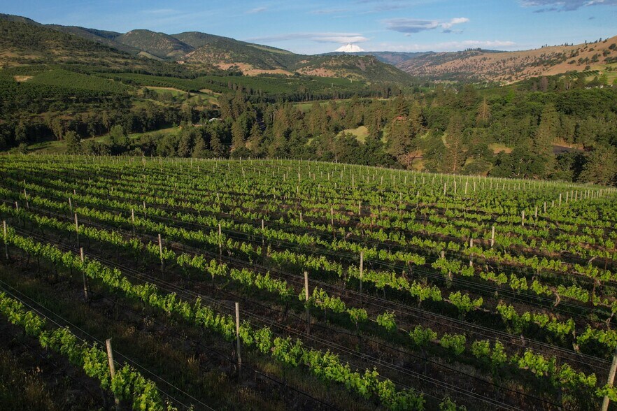 More Photos Of 5450 Mill Creek Rd, The Dalles Land For Sale