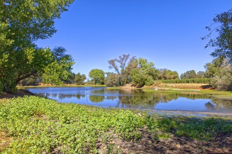 More Photos Of 20680 Shenandoah School Rd, Plymouth Winery Vineyard For Sale