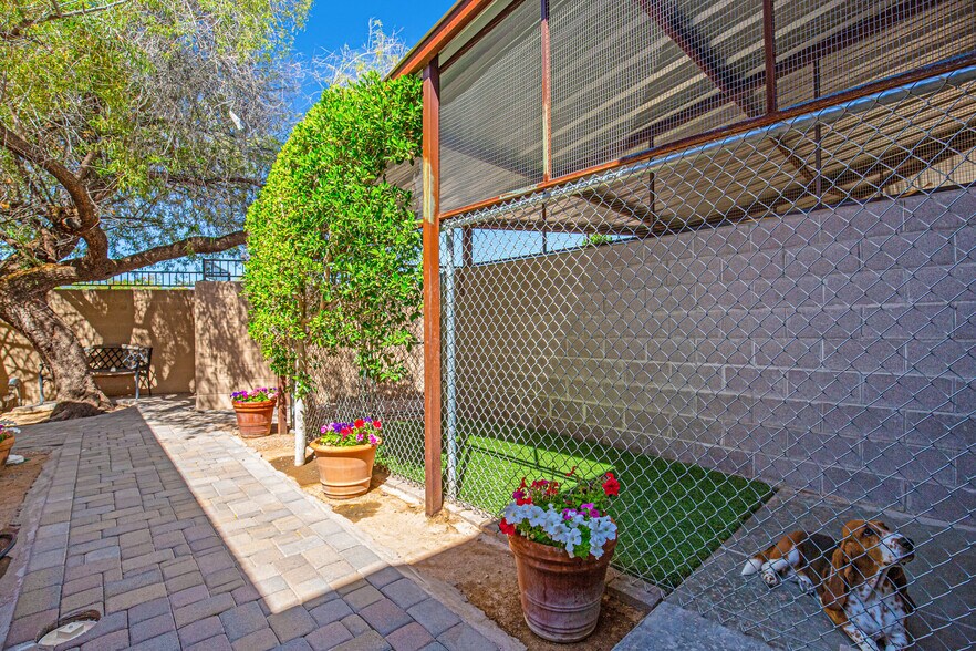 More Photos Of 6909 E Lincoln Dr, Paradise Valley Veterinarian Kennel For Sale