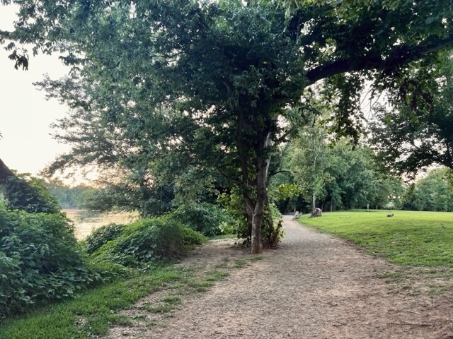 More Photos Of 2730 Maidens Loop, Maidens Land For Sale