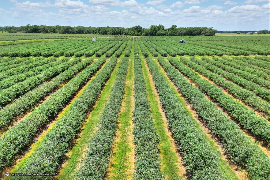 More Photos Of 3674 FL-64, Zolfo Springs Land For Sale