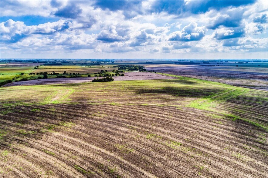 More Photos Of 550 County Road 404, Taylor Land For Sale