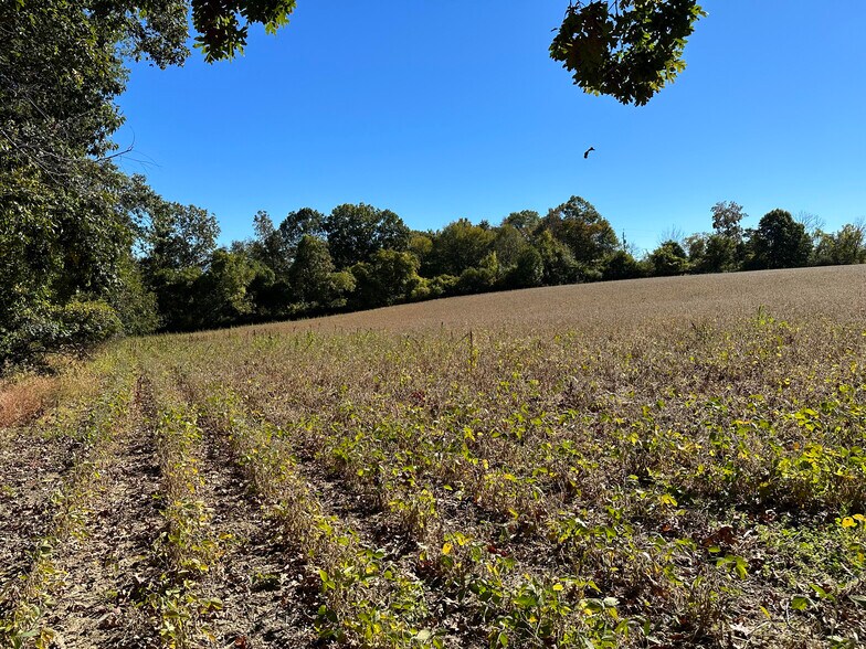 More Photos Of 1476 Flicksville Rd, Bangor Land For Sale