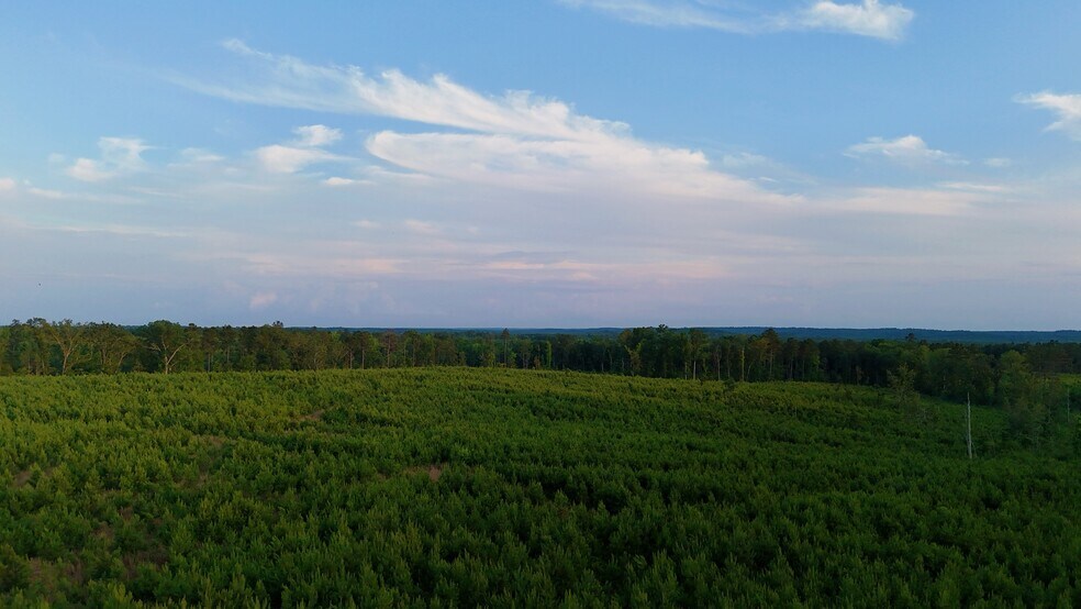 More Photos Of 00 Kennedy Rd, Winnsboro Land For Sale