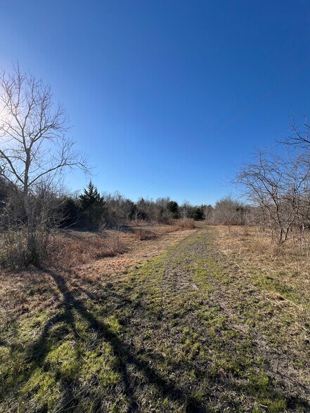 More Photos Of 4235 FM 390 E, Brenham Land For Sale