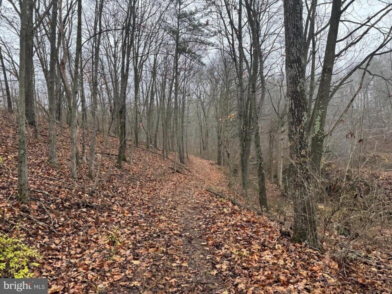 More Photos Of 3014 Peach Orchard Rd, Mc Connellsburg Land For Sale
