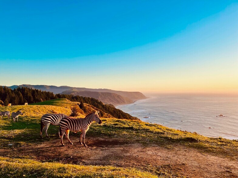 More Photos Of 26000 Mattole Rd, Ferndale Land For Sale