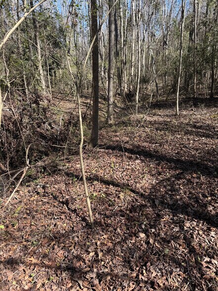 More Photos Of 0 Harrison Rd, Thomson Land For Sale