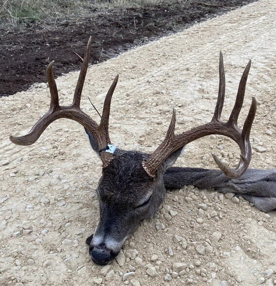 More Photos Of 4601 County Road 251, Hondo Land For Sale