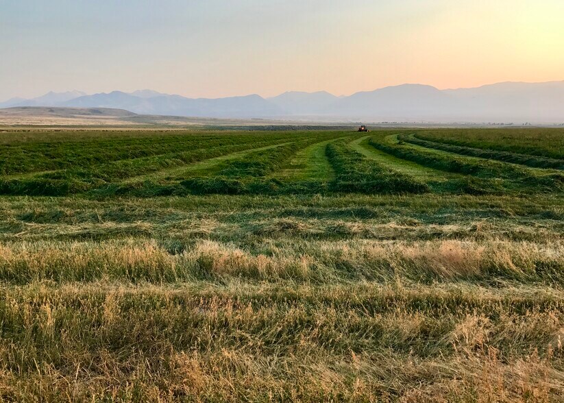 More Photos Of 3750 Pahsimeroi Rd, May Land For Sale