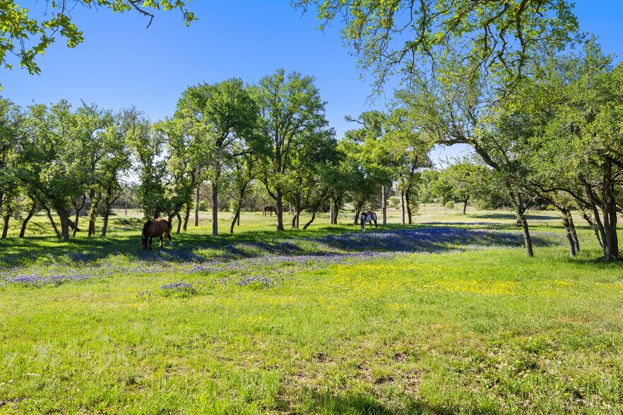 More Photos Of 13744 Us Highway 281 N, Round Mountain Flex For Sale