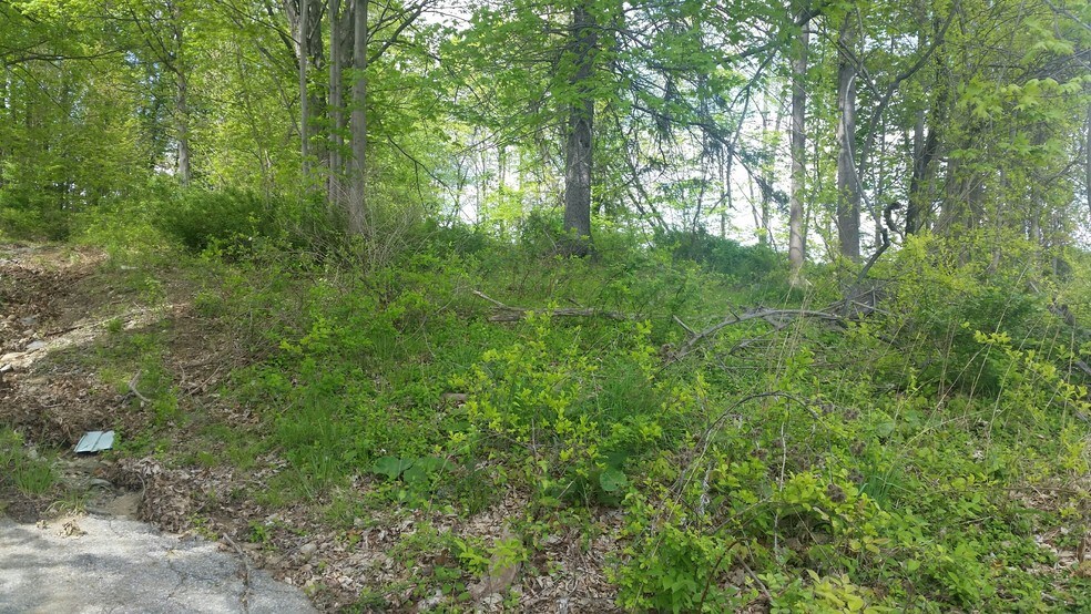 More Photos Of 3116 E Main St, Mohegan Lake Land For Lease