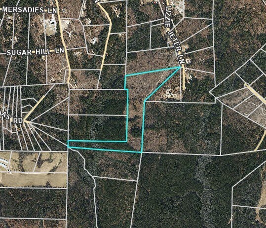 Primary Photo Of 0 Lizzie Jeter Ln, Cameron Land For Sale