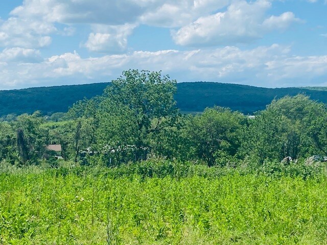 More Photos Of 00 Clarks Lane, Milton Land For Sale