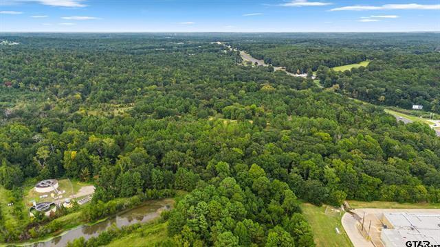 More Photos Of TBD S Highway 155, Flint Land For Sale