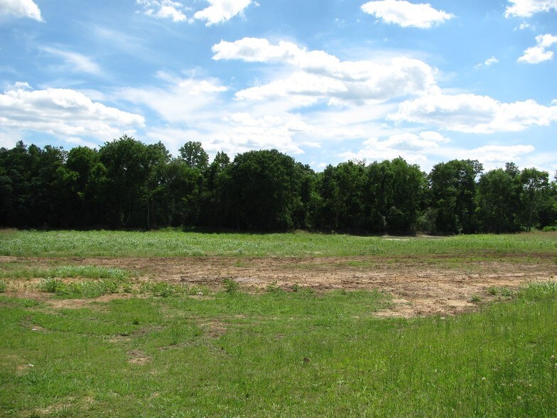 More Photos Of 314 S Palmer St, Adamsville Land For Sale