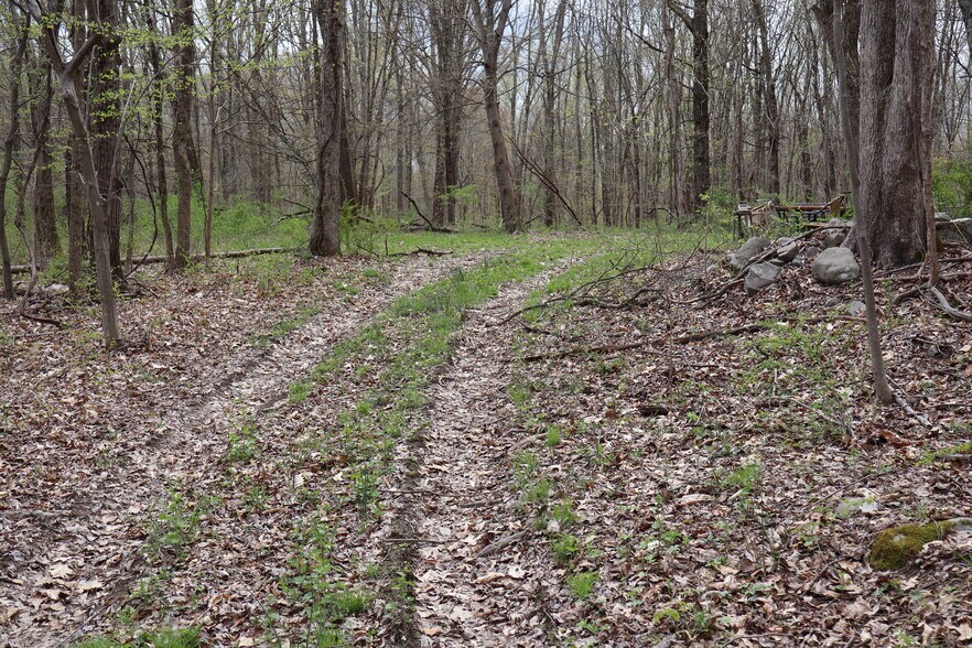 More Photos Of 330 Plutarch Rd, Highland Land For Sale