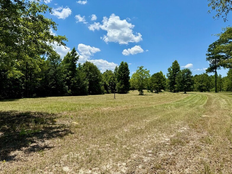 More Photos Of 241 Foskey Cemetery Rd, Adrian Land For Sale