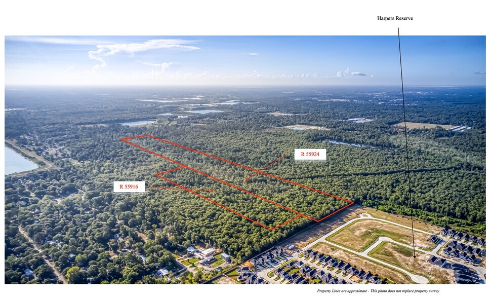 More Photos Of 53.8 Acres off Hwy 242, Conroe Land For Sale