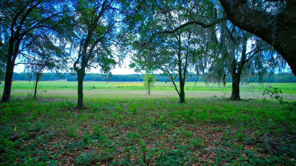 More Photos Of 3267 Neff Lake Rd, Brooksville Land For Sale