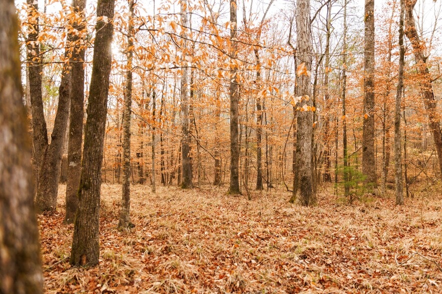 More Photos Of Jug Factory Road, Wetumpka Land For Sale